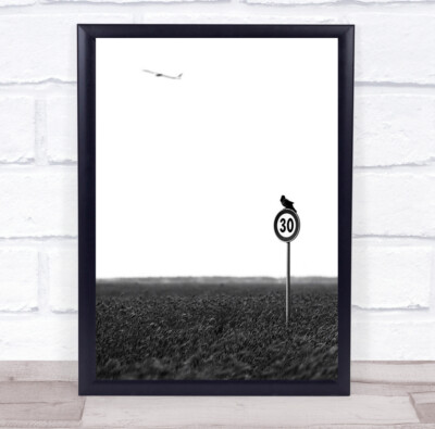 Humor Humor Vogel schwarz-weiß Schild Geschwindigkeitsbegrenzung Flugzeug Airplane Plane Print