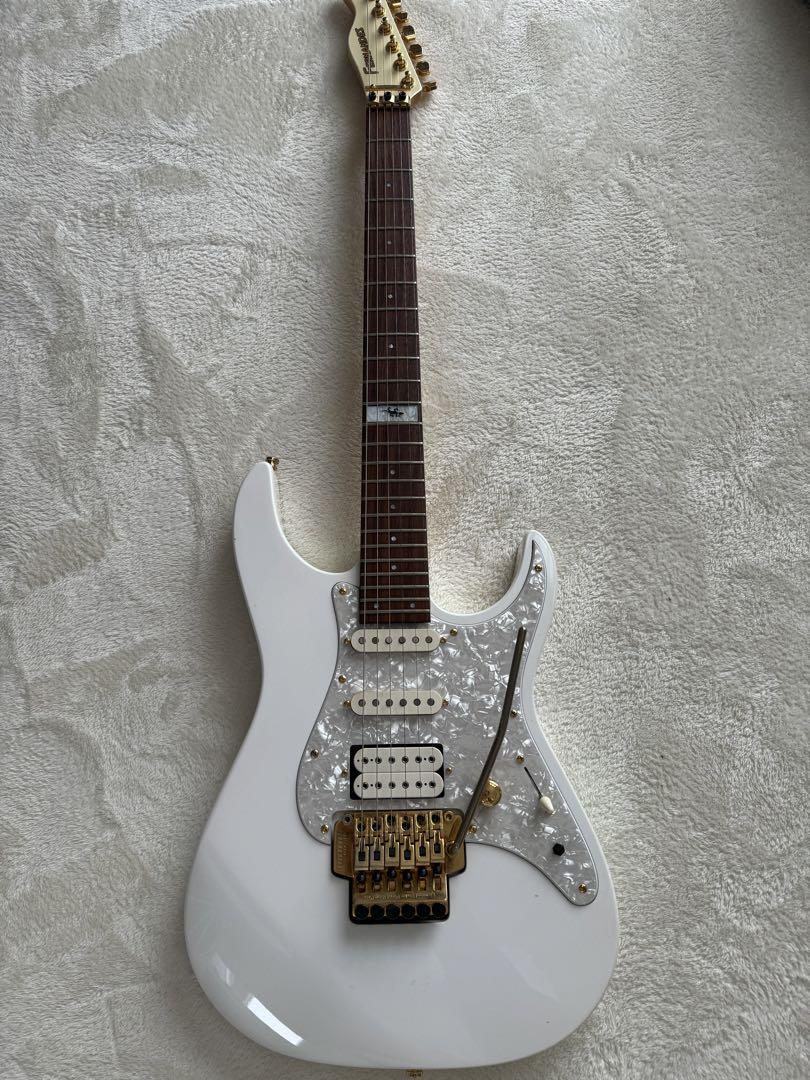 Fernandes Electric Guitar L