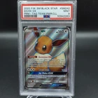 PSA 9 MINT POKEMON CARD 2020 TAG TEAM BLACK STAR PROMO EEVEE GX FULL ART SM242