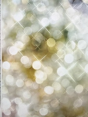 Kate s Backdrop Bokeh Gold & White 6.5 X 10 Backdrop