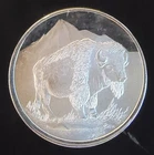 Buffalo Bison Rocky Mountains Engravable Rare Bullion-0.999 Silver 1 Oz Art Coin
