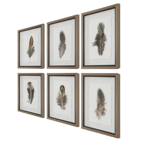Uttermost Birds Of A Feather Plastic & Paper Prints in Brown/White (Set of 6) - Picture 3 of 9
