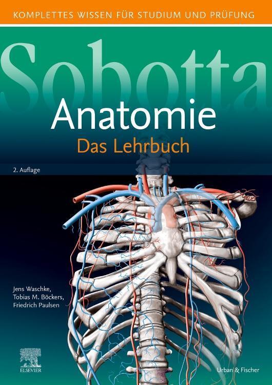 Thumbnail - Sobotta Lehrbuch Anatomie | Jens Waschke (u. A.) | Buch | Sobotta |