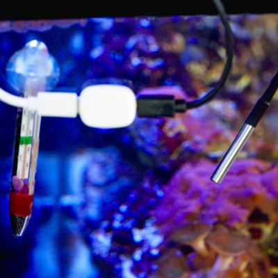 Temperatur Sensor DS18B20 mit 3.5mm Stecker für ''Shelly The Pill''