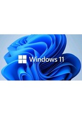 Windows 11 64bit 16GB USB Flash Drive Bootable Installation 