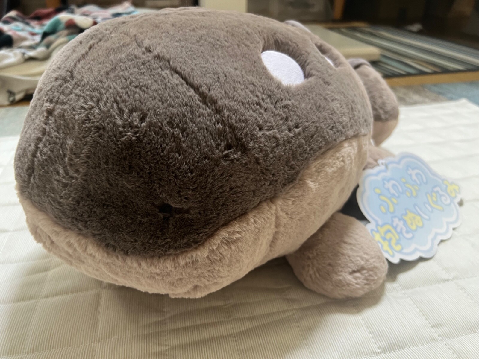 Clodsire Pokémon Fluffy hugging Fuwa Fuwa Dakko Comfy Friends Pokemon