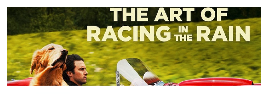 Art Of Racing In The Rain DVD Movie Night Garth Stein Enzo Dog