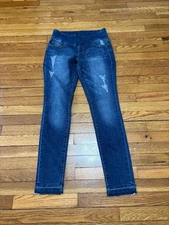 Jag Jeans Womens High Rise Skinny Size 4 Blue Distressed Stretch Denim
