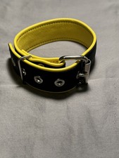 Men s Black & Yellow Leather Collar   Adjusta...