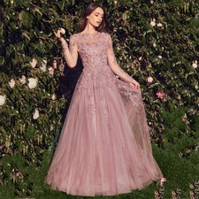 Elegant Pink Prom Evening Party Dresses Long Sleeves Floor Length Applique Gowns