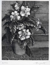 MONGATTI VAIRO  “AZALEA IN VASO” 1997  ACQUAFORTE - VECCHIANTICO - GRAFICA