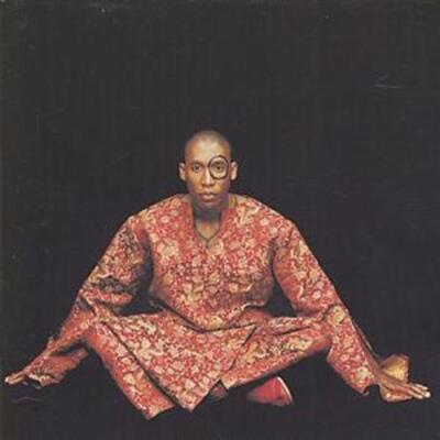 q*k様 RAPHAEL SAADIQ INSTANT VINTAGE Instant Vintage by Raphael Saadiq (CD, 2002) for sale online | eBay