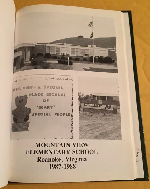 1988 MOUNTAIN VIEW ELEMENTARY SCHOOL YEARBOOK THE LITTLE VIKINGS