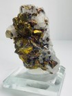 Foto 6 di 11