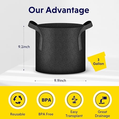 iPower 10-Pack 3 Gallon Thickened Grow Bags Nonwoven Fabric Pots Aeration - 第 2/6 張圖片