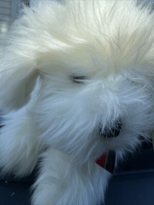 Special Edition DAKIN White Applause Scruffles Puppy Plush Stuffed Animal Xmas
