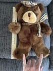 Bild 11 von 12