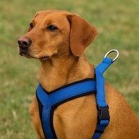 Othello Hundegeschirr S Brustgeschirr Reflektierend Verstellbar Nylon Blau
