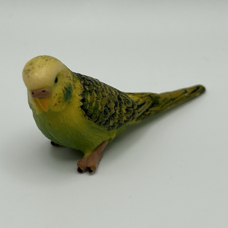 Schleich Budgerigar Parakeet Bird Figure Collectible Animal Toy Model