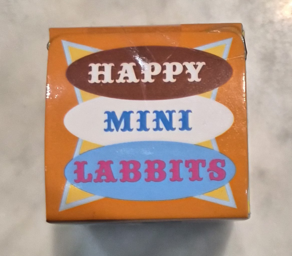 Happy Labbits Mini Series * Gas Mask Anarchy Labbit 1/50 Chase