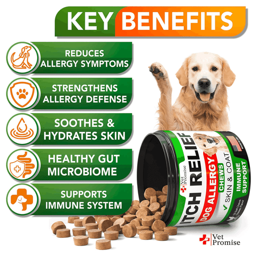 Dog Allergy Chews Itch Relief for Dogs Dog Allergy Relief Anti Itch for - Picture 2 of 7