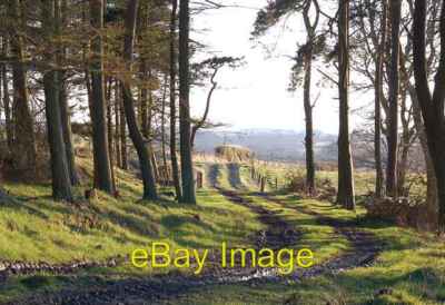 Foto 6x4 Ceres Straße Baldinnie Der Bauernhofweg von Callange nach Ceres in t c2008