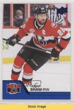2020-21 Upper Deck AHL Blue Logan Shaw #57 READ 0l1o