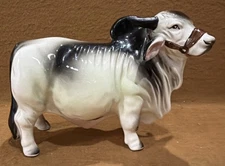 Brahma Bull Cow Porcelain * Wales * Made In Japan * Vintage White/ Black