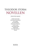 Theodor Storm | Novellen Zweiter Band | Buch | Deutsch (2019) | 404 S. | Boer