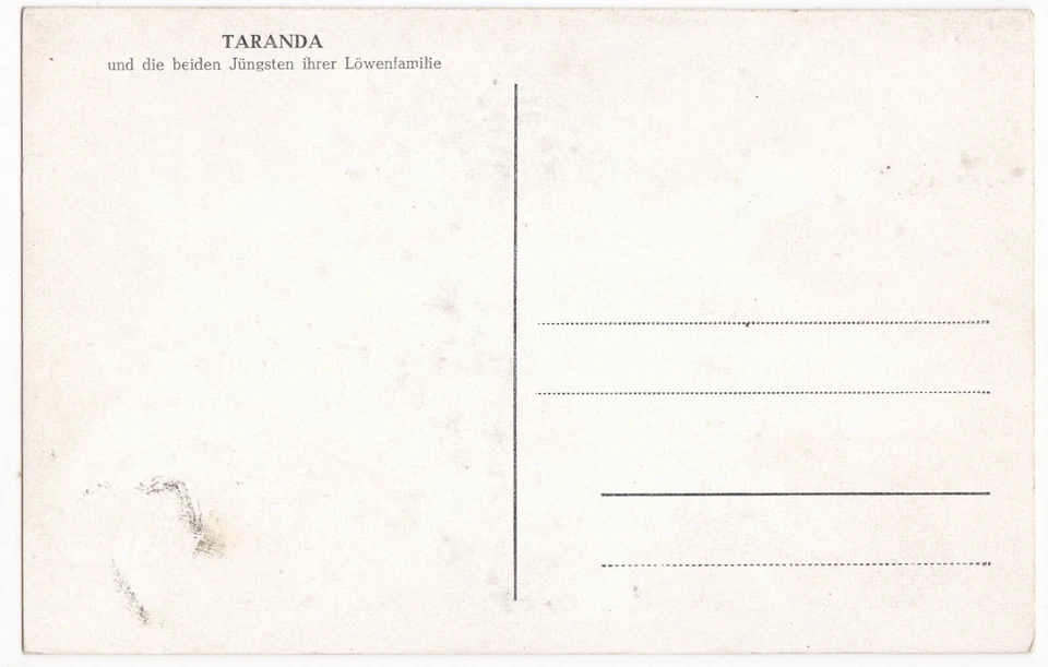 AK Dompteuse Taranda signiert 1954 Löwe Artisten Akrobatik Zirkus Circus - Bild 2 von 2