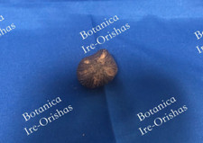 ikin inkin inkines de 5 ojos ojos religión yoruba ifa santería