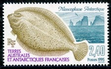 TIMBRE T.A.A.F. TERRES AUSTRALES NEUF  N° 196 ** FAUNE / MANCOGLOSSE ANTARTIQUE