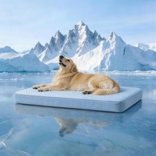 Cooling Dog Bed for Large Dogs, Washable Memory Foam Dog Beds for Crate with ...