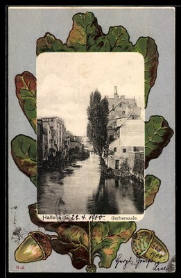 Postcard Halle / Saale, at the Gerbersaale, view on oak leaf 