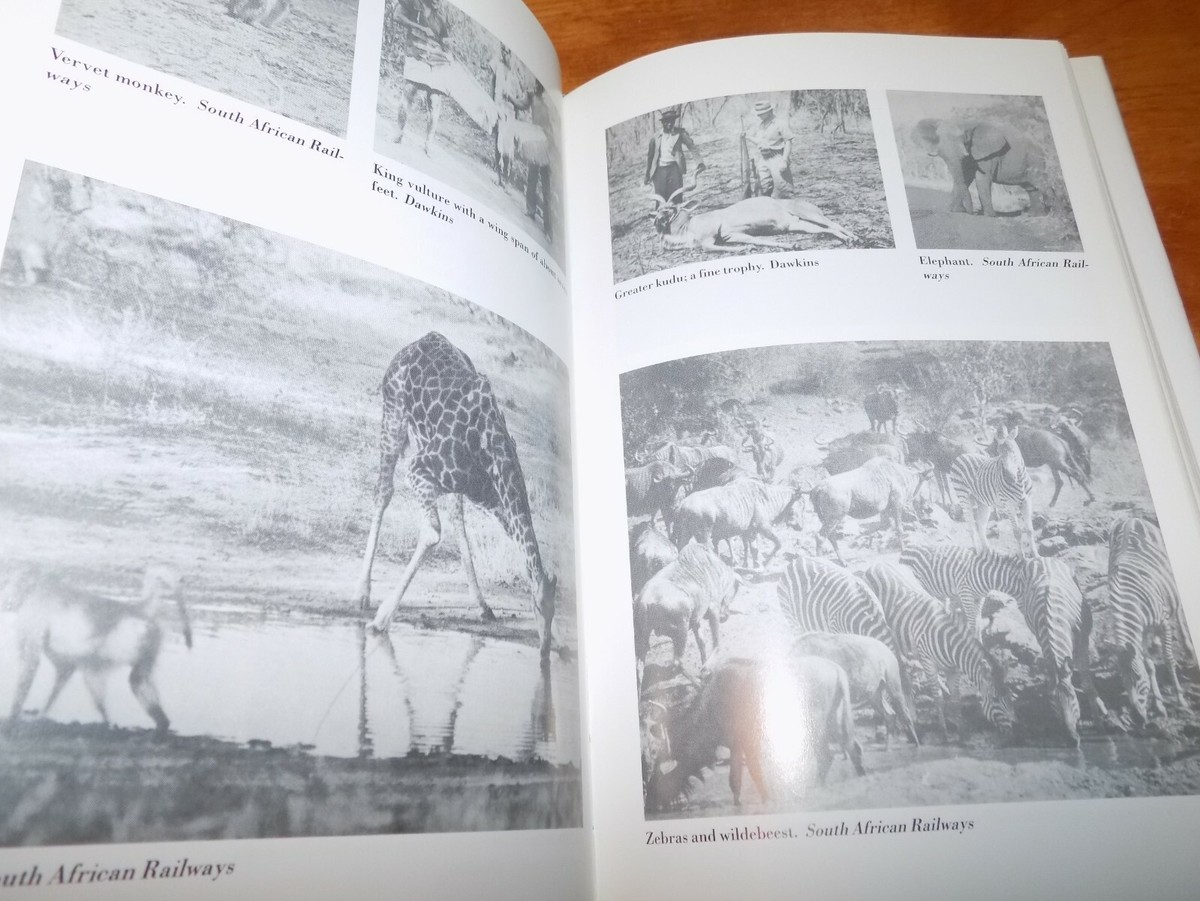 Pondoro: Last Of The Ivory Hunters - Taylor, John