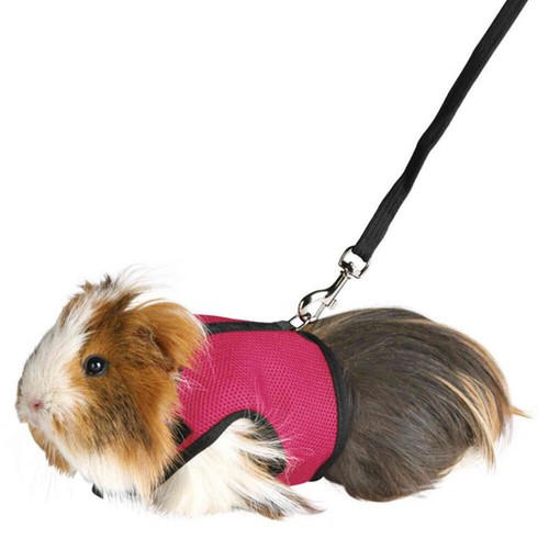 Pet Cat Dog Rabbit Harness Lead Leash Set Soft Mesh Vest for Guinea Pig Hamsters - Picture 6 of 20