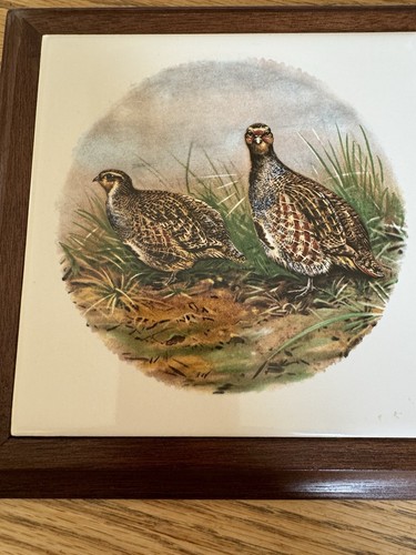 Vintage Quail Tile Trivet Wood Frame Imola Coop Ceramica Tile Wall Hanging Italy - Picture 4 of 12