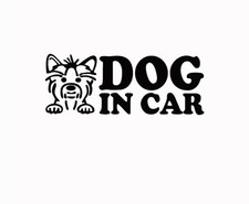 Dog In Car car decal sticker Pet Decal NEW