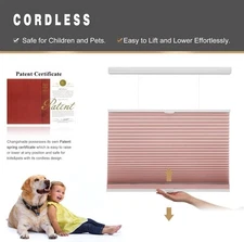 Changshade Light Filtering Top-down Bottom Up Cellular Shades Honeycomb Blinds