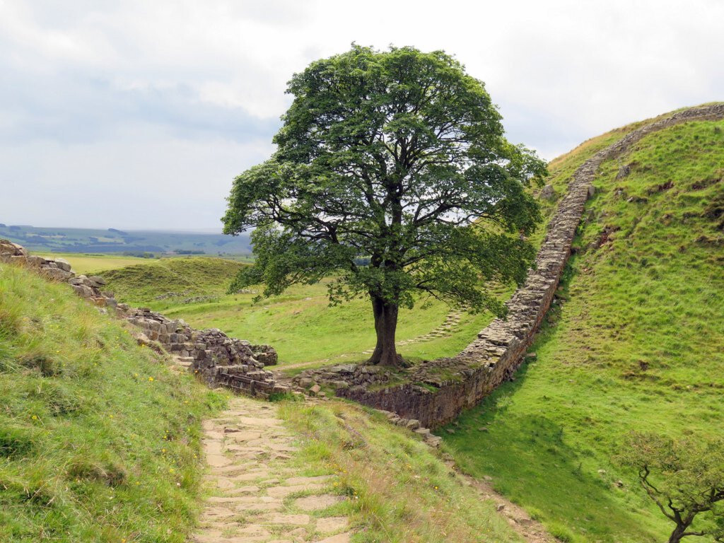 Photo 6x4 HADRIANS WALL AT SYCAMORE GAP c2015