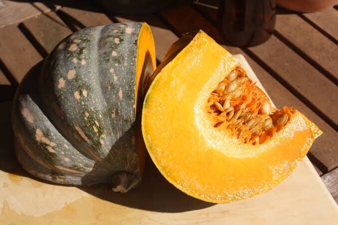 PUMPKIN KENT (jap) - 12 Seeds - Tasmanian Seller | eBay