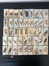 VTG '30s VOLVOLTUM Soap Hydes R.Hyde&Co Bird Seed Cigarette Card Gift Scheme LOT