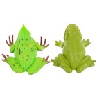 2pcs Bonsai Frog Decor Landscape Frog Decor Frog Toy Educational Frog Models