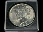 1923 Peace Silver Dollar / Encapsulated / Polished / See Description (3/10-3)