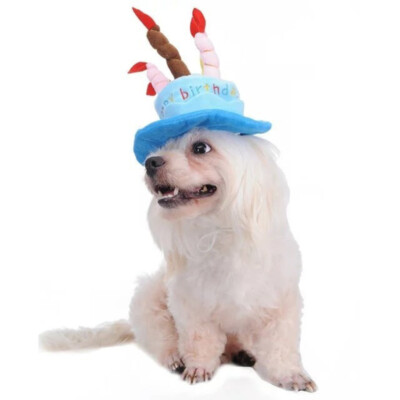 Pet Birthday Cake Hat Festive Hats Happy Party Dog with Candles Design