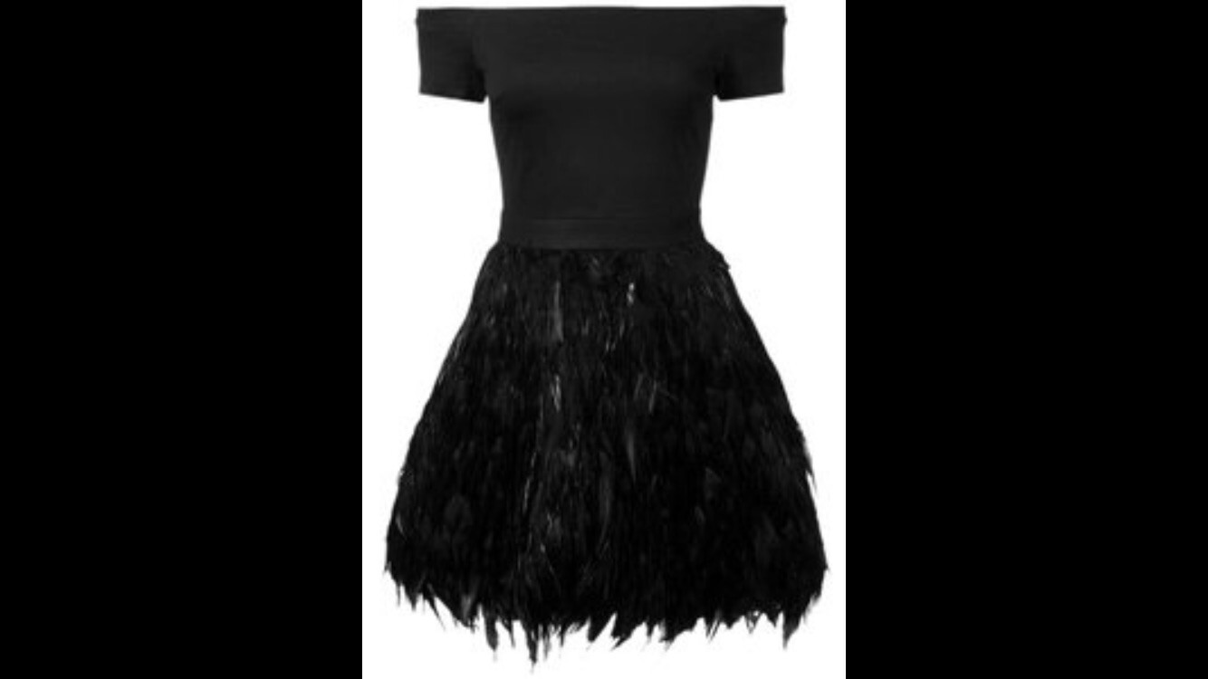 Miss Independent Black Embroidered Bustier Feather Skirt Party Dress main image 1