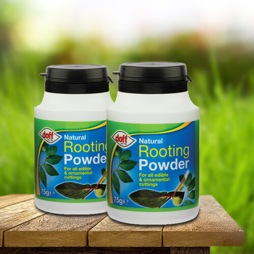 3 X Doff Natural Rooting Powder for Edible Plants & Ornametal CUTTINGS