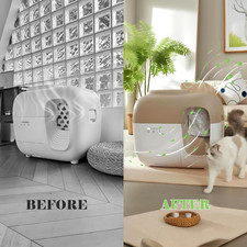 3 Pcs Robertet Fragrance Boxes Petsnowy Snow Automatic Cat Litter Box Litter