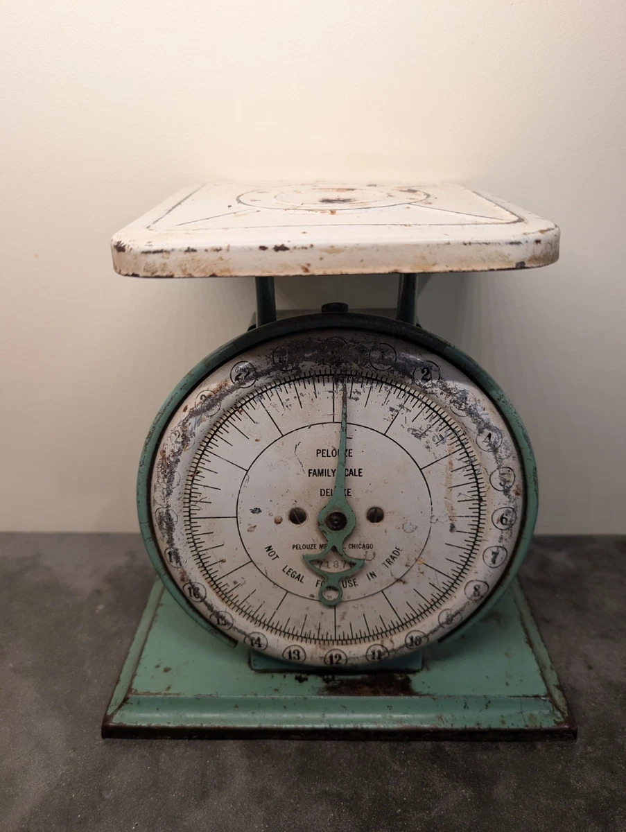 Pelouze Scale In Antique Mercantile, Trade & Factory Scales for