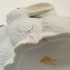 Foto 14 di 19